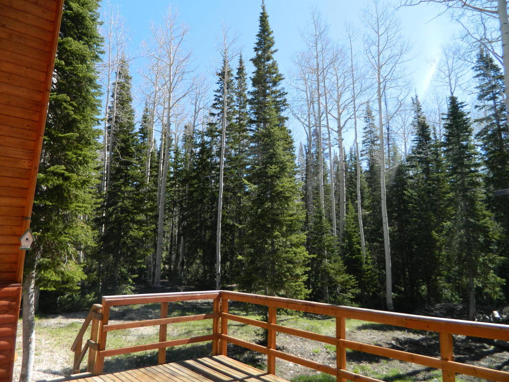 266 Rue Jolley, Brian Head, UT 84719