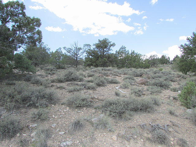 30 N 2380 W, Cedar City, UT 84720