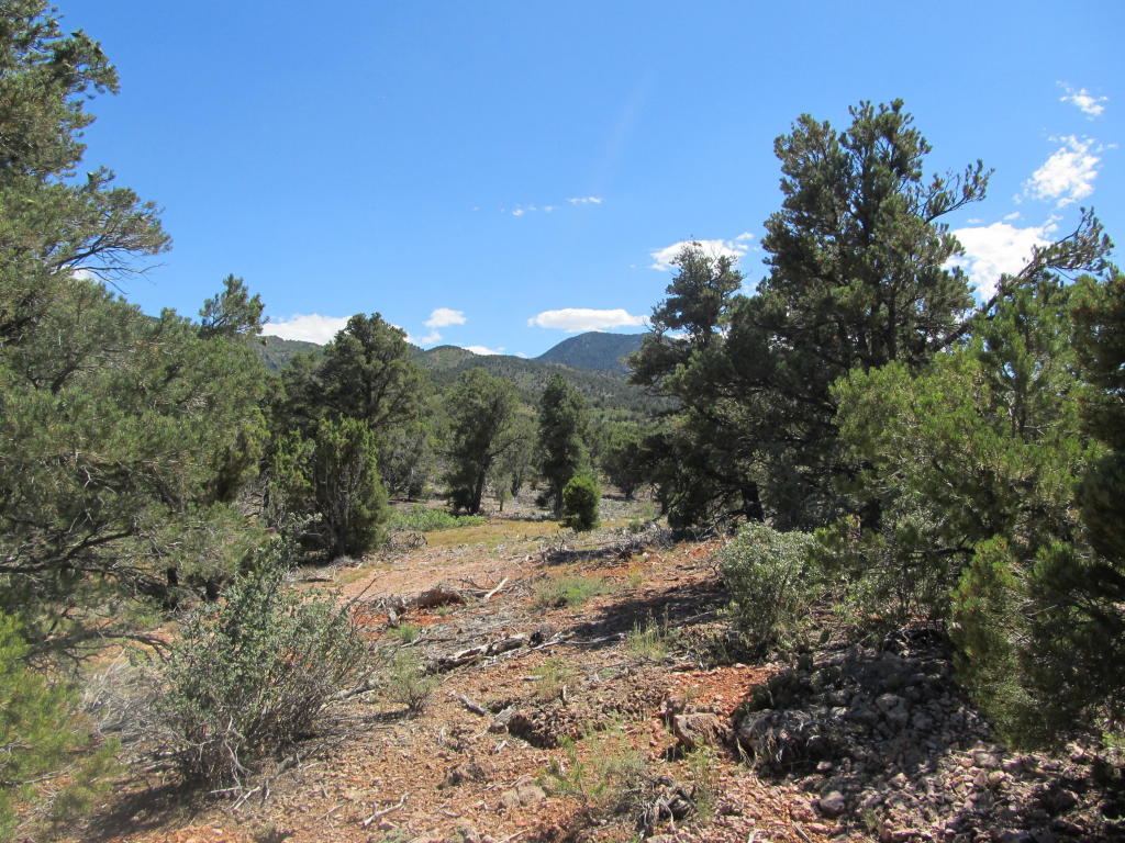 3827 S 13600 W, Cedar City, UT 84720