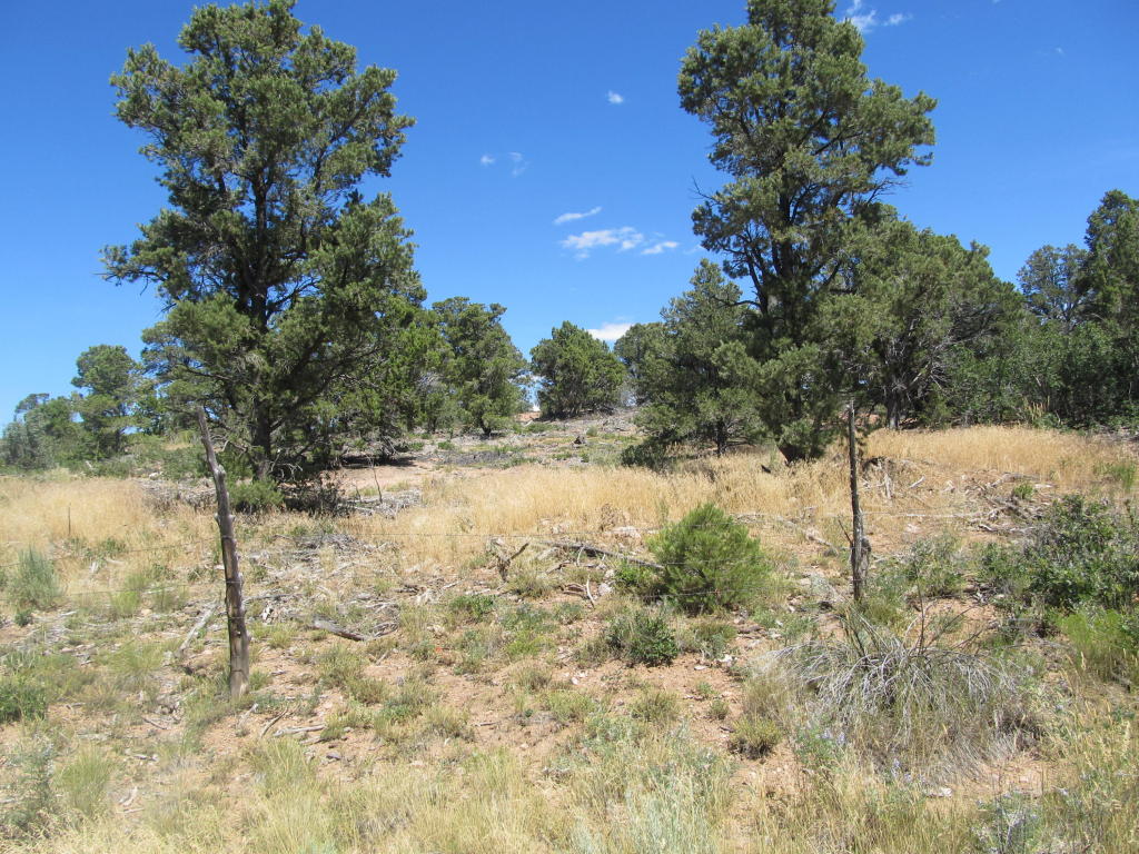 3827 S 13600 W, Cedar City, UT 84720