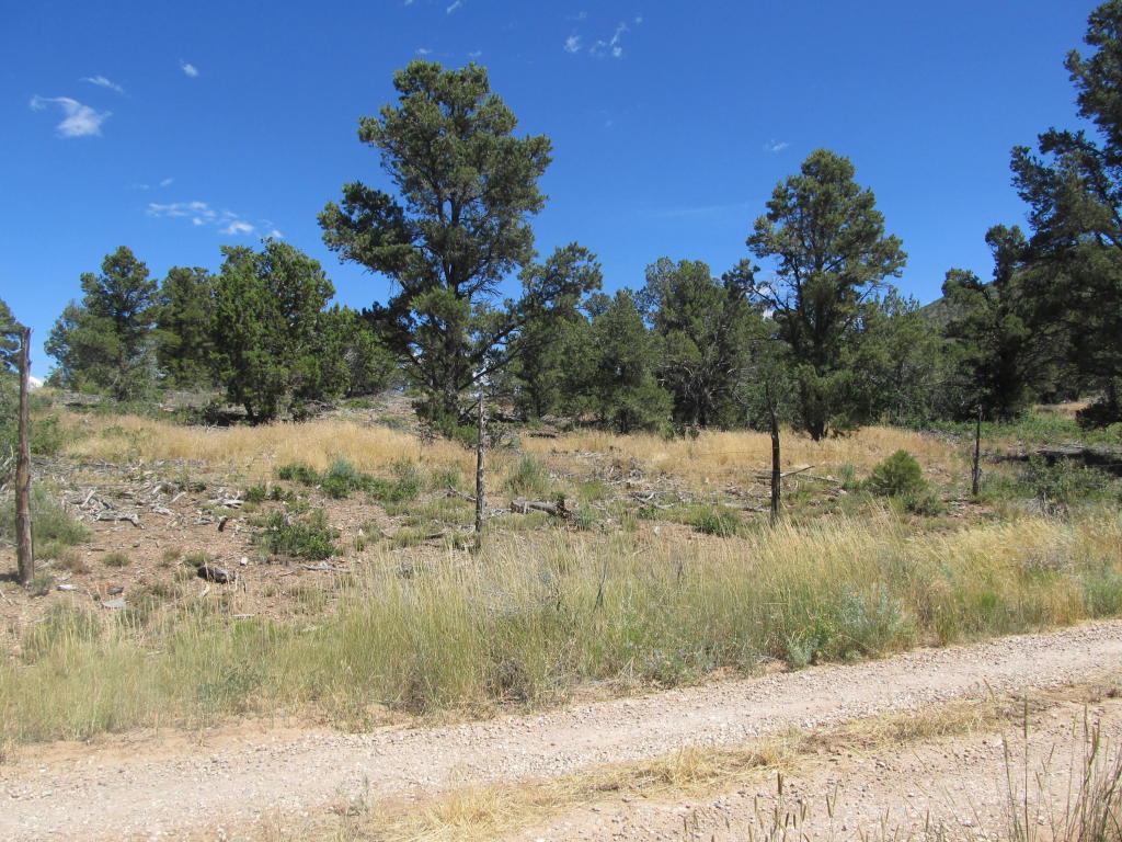 3827 S 13600 W, Cedar City, UT 84720