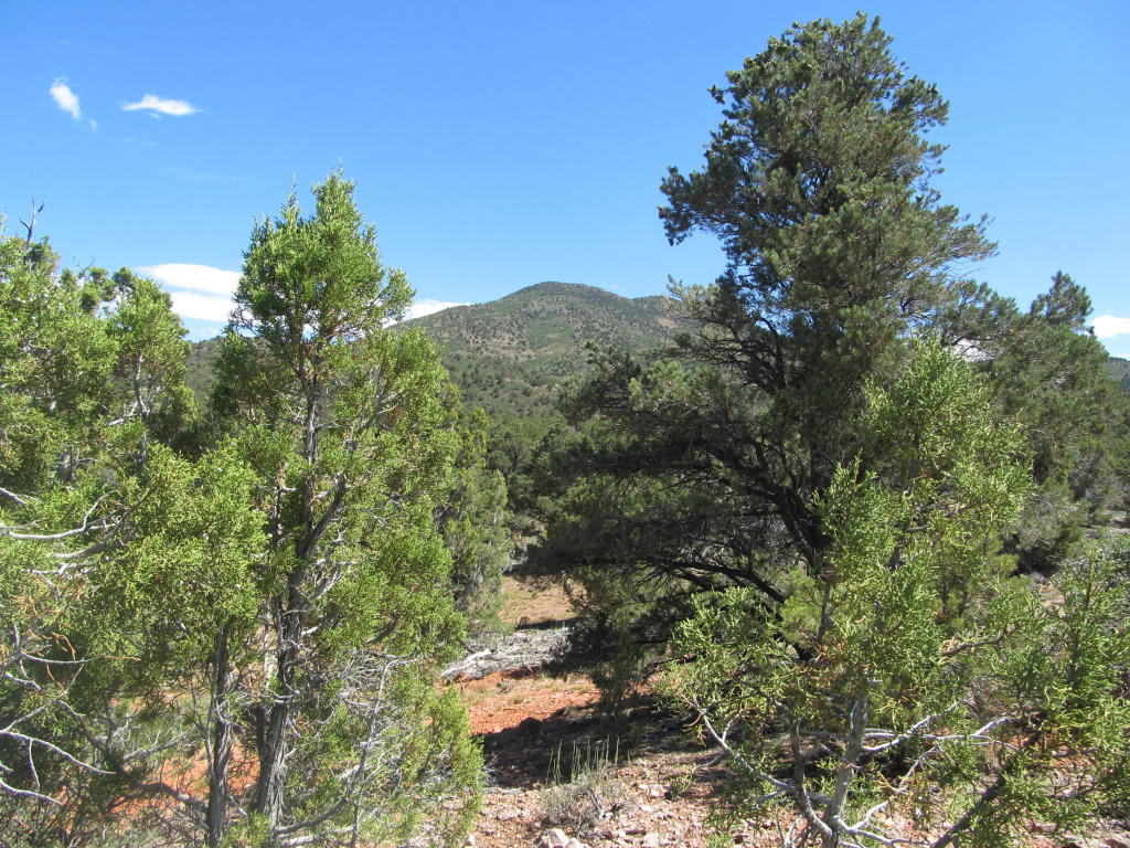 3827 S 13600 W, Cedar City, UT 84720
