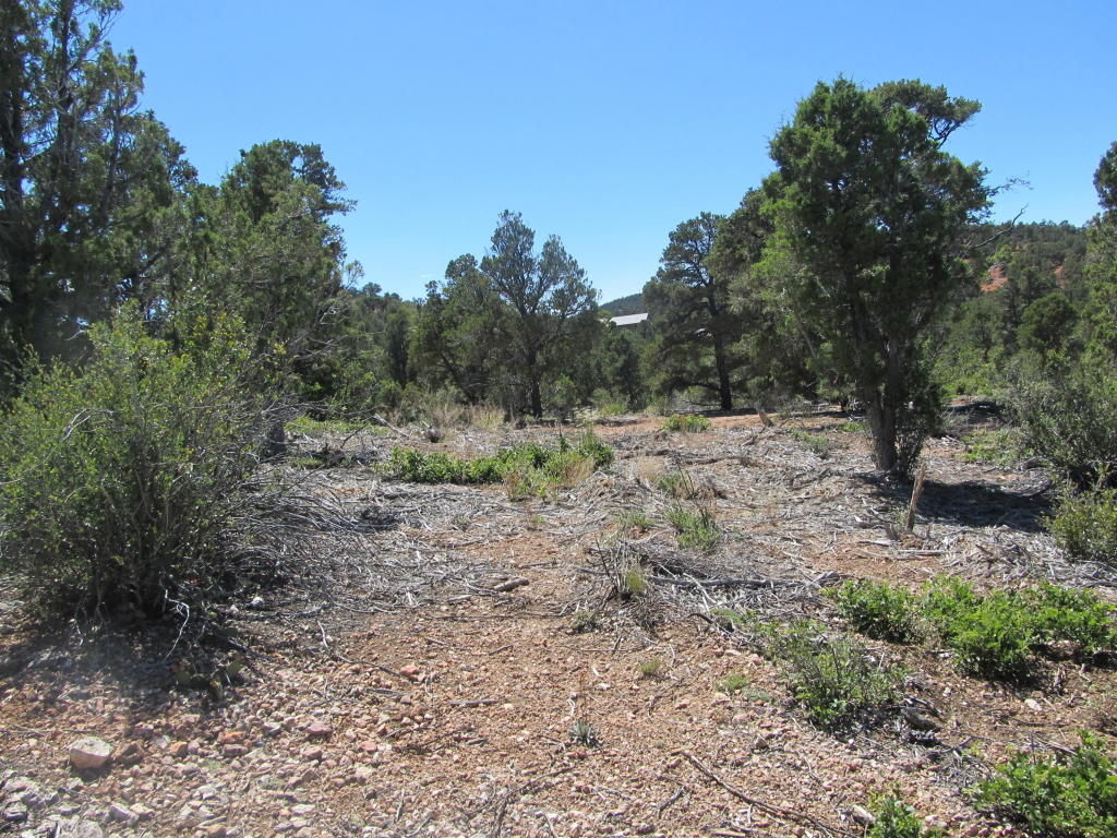 3827 S 13600 W, Cedar City, UT 84720
