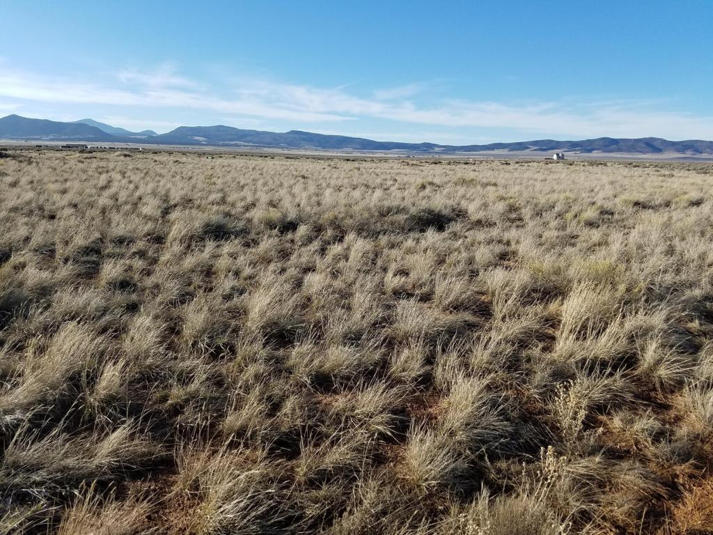 3334 S 6100 W, Cedar City, UT 84720