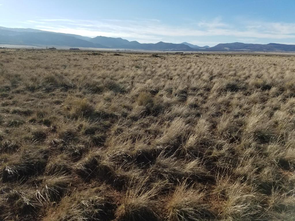 3334 S 6100 W, Cedar City, UT 84720