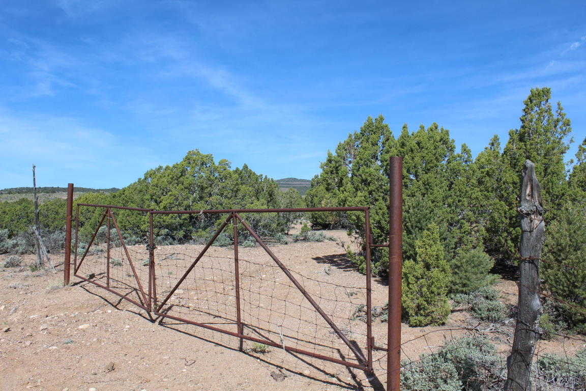 9250 UT-56, Cedar City, UT 84720
