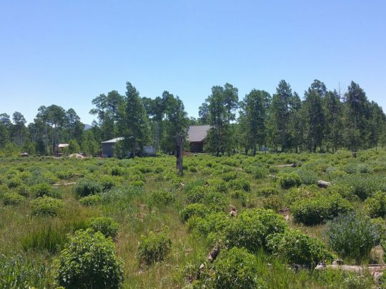 4645 S 2275 - EE-E-19 E, Cedar City, UT 84720