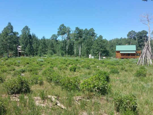 4645 S 2275 - EE-E-19 E, Cedar City, UT 84720