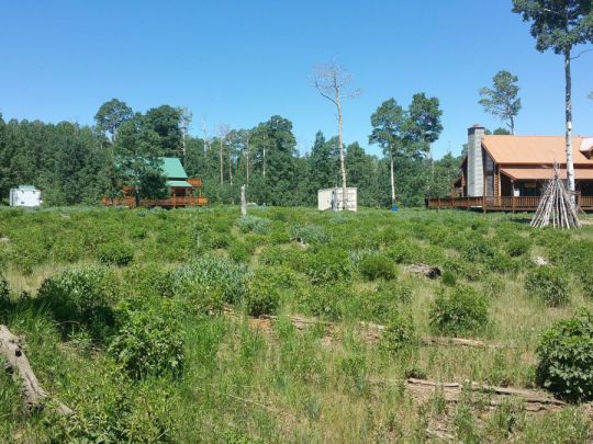 4645 S 2275 - EE-E-19 E, Cedar City, UT 84720