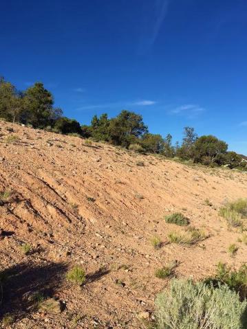 2409 W 500 S, Cedar City, UT 84720