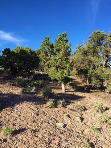2391 W 500 S, Cedar City, UT 84720