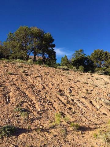 2391 W 500 S, Cedar City, UT 84720