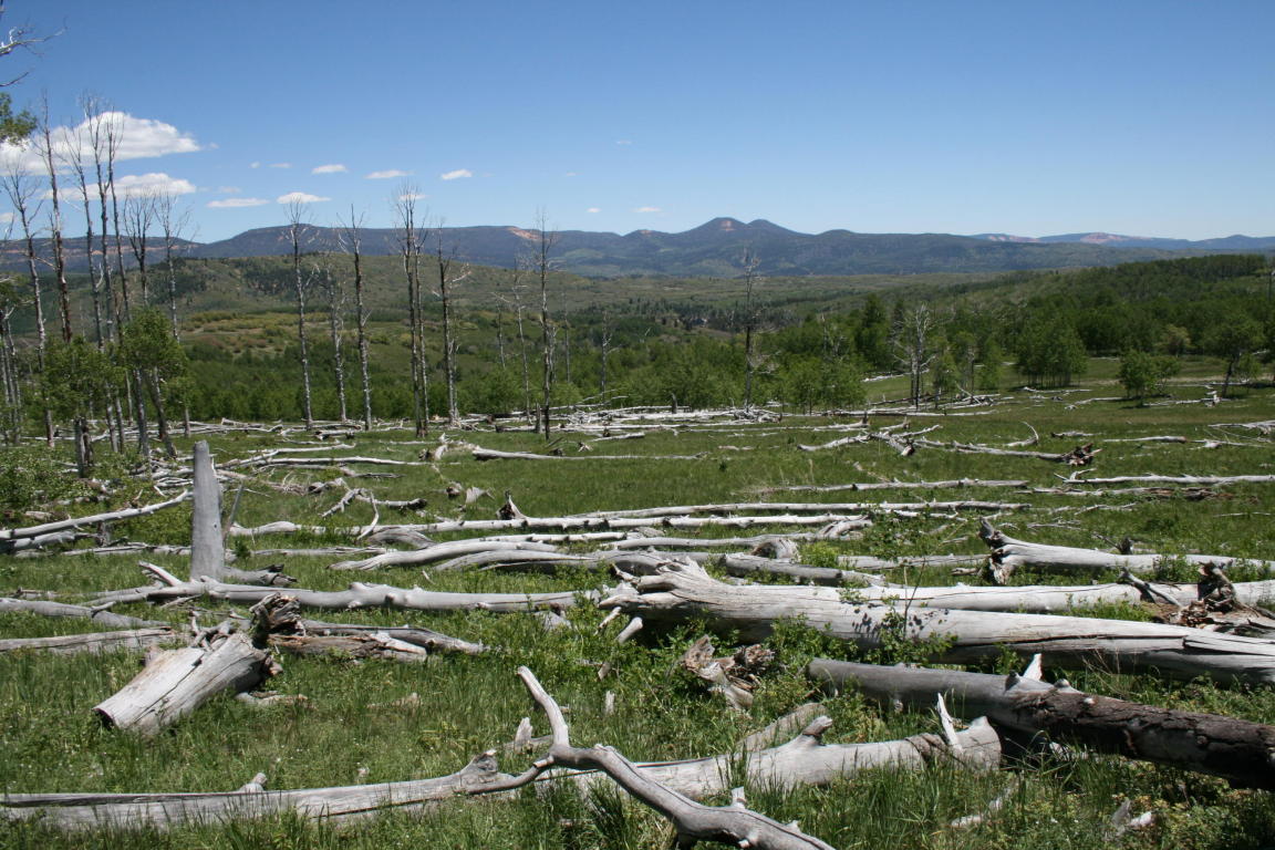 Miner's Peak Road, Cedar City, UT 84720