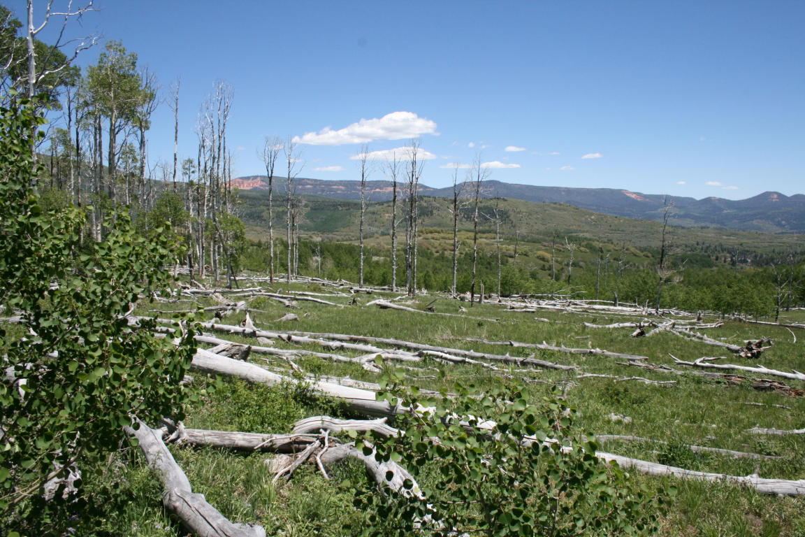 Miner's Peak Road, Cedar City, UT 84720