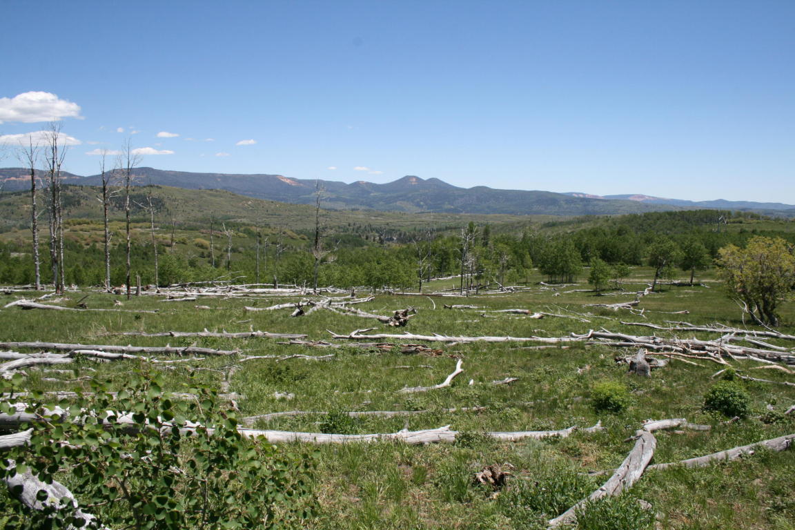 Miner's Peak Road, Cedar City, UT 84720