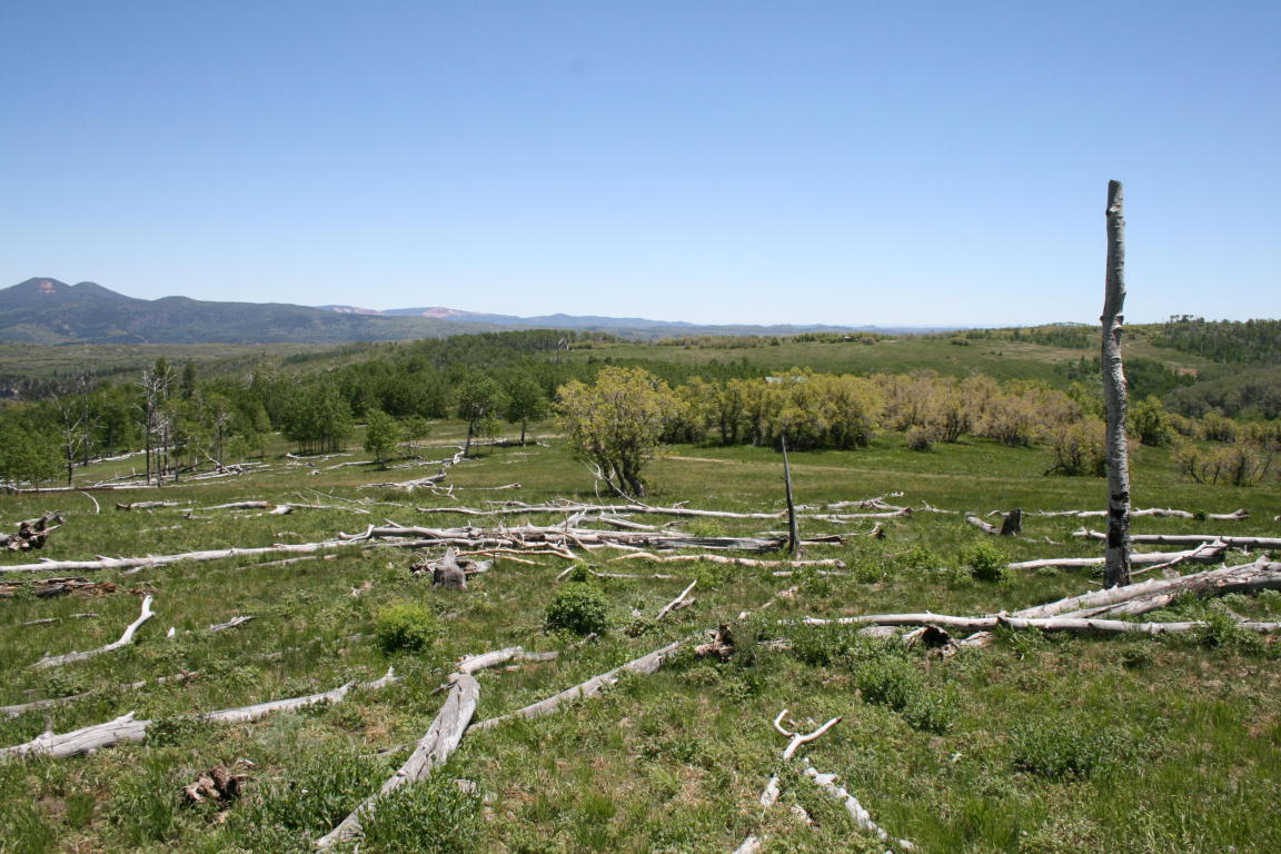Miner's Peak Road, Cedar City, UT 84720