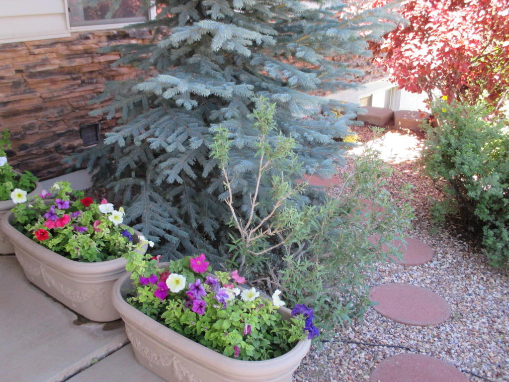 268 E 820 S, Cedar City, UT 84720