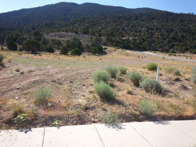 1195 E Rockwood LN, Cedar City, UT 84721