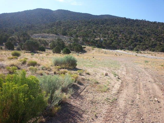 1195 E Rockwood LN, Cedar City, UT 84721