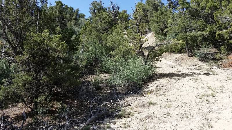Lot 1 Far West, Cedar City, UT 84721