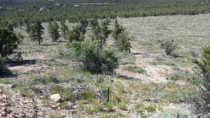 Lot 2 Far West, Cedar City, UT 84721