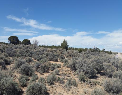 Cedar Valley Acres, Cedar City, UT 84721