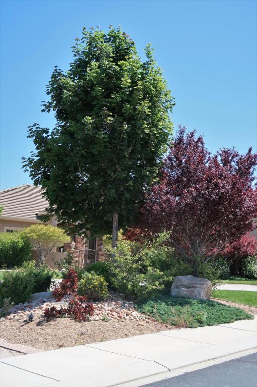 1091 E Nichols Canyon RD, Cedar City, UT 84721