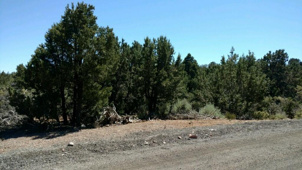 762 E Cottontail RD, Central, UT 84722