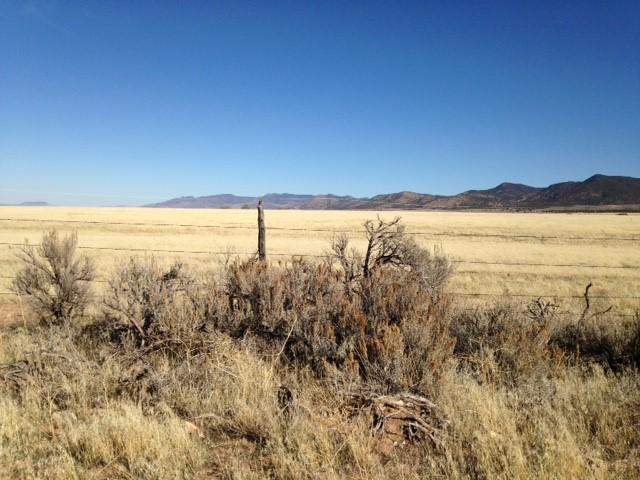 10 acres Holt Rd (becomes Meadow Canyon, Enterprise, UT 84725