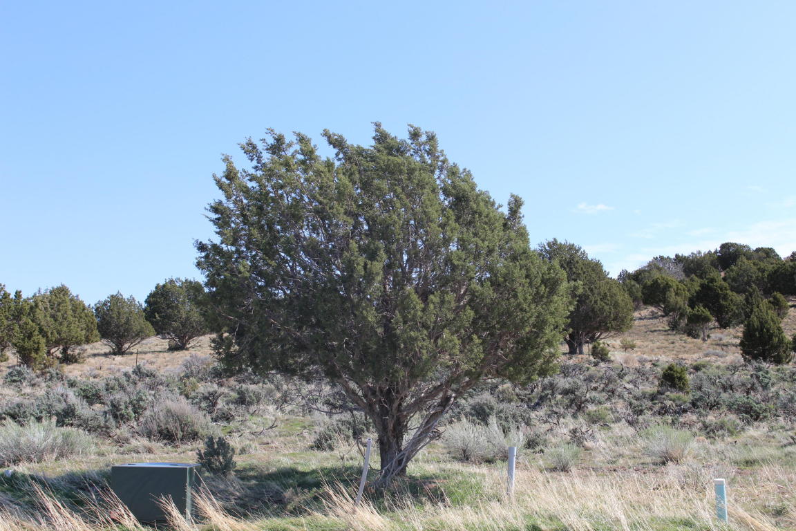 200 W 350 CIR N, Enterprise, UT 84725