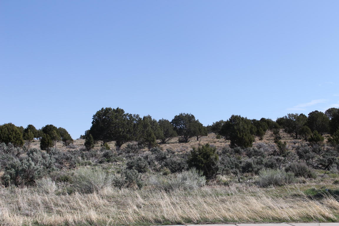 200 W 350 CIR N, Enterprise, UT 84725