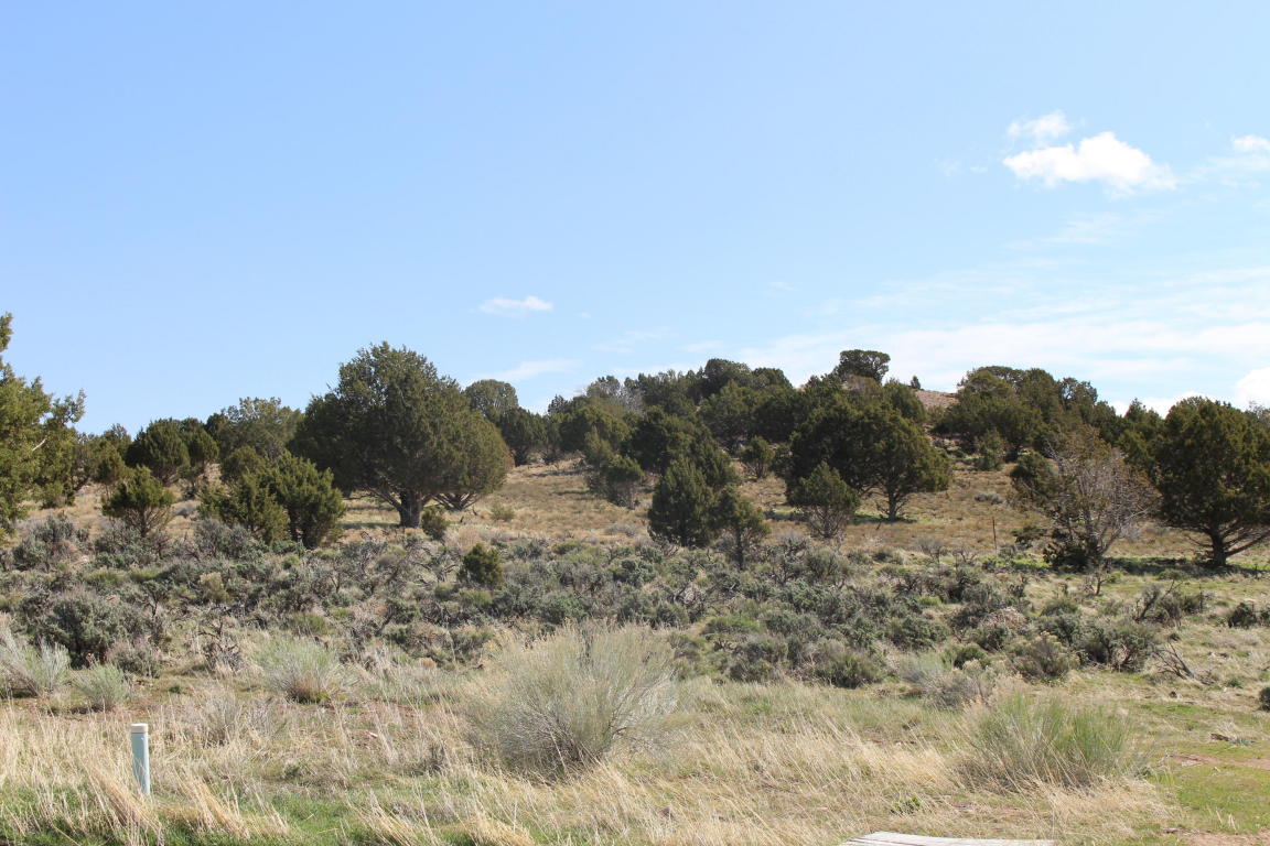 200 W 350 CIR N, Enterprise, UT 84725