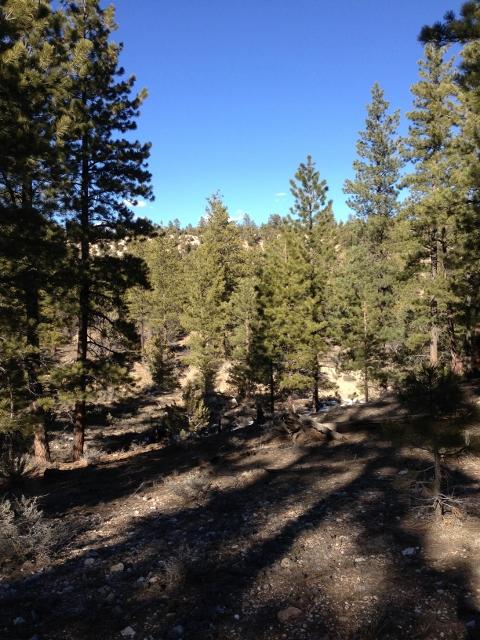 10190 W Old Escalante RD, Escalante, UT 84726