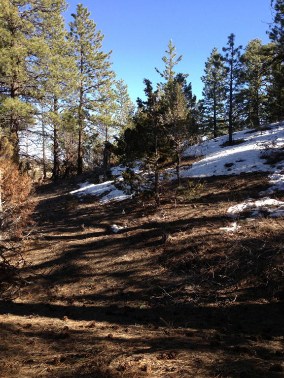 10190 W Old Escalante RD, Escalante, UT 84726
