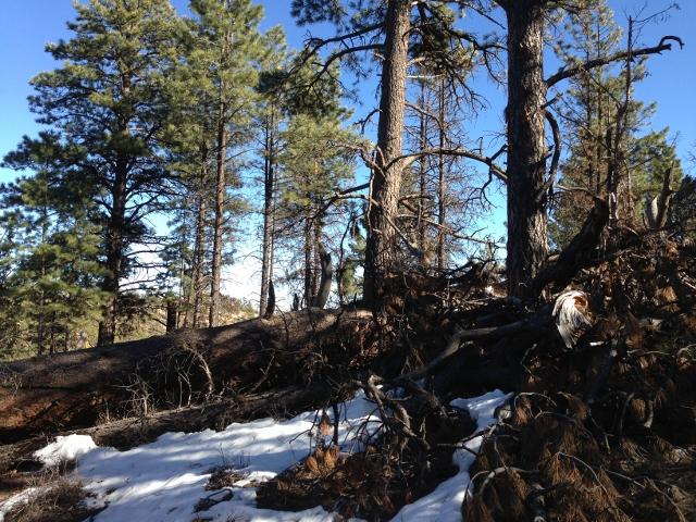 10190 W Old Escalante RD, Escalante, UT 84726