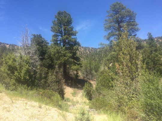 Lydia's Canyon Road, Glendale, UT 84729
