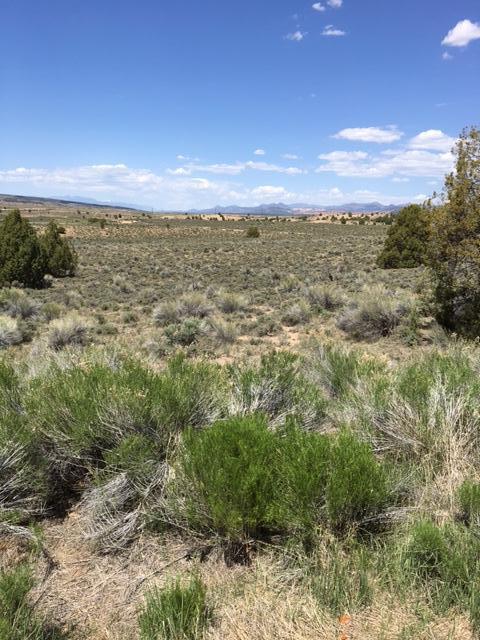 1785 E Paunsaugunt Cliffs DR, Hatch, UT 84735