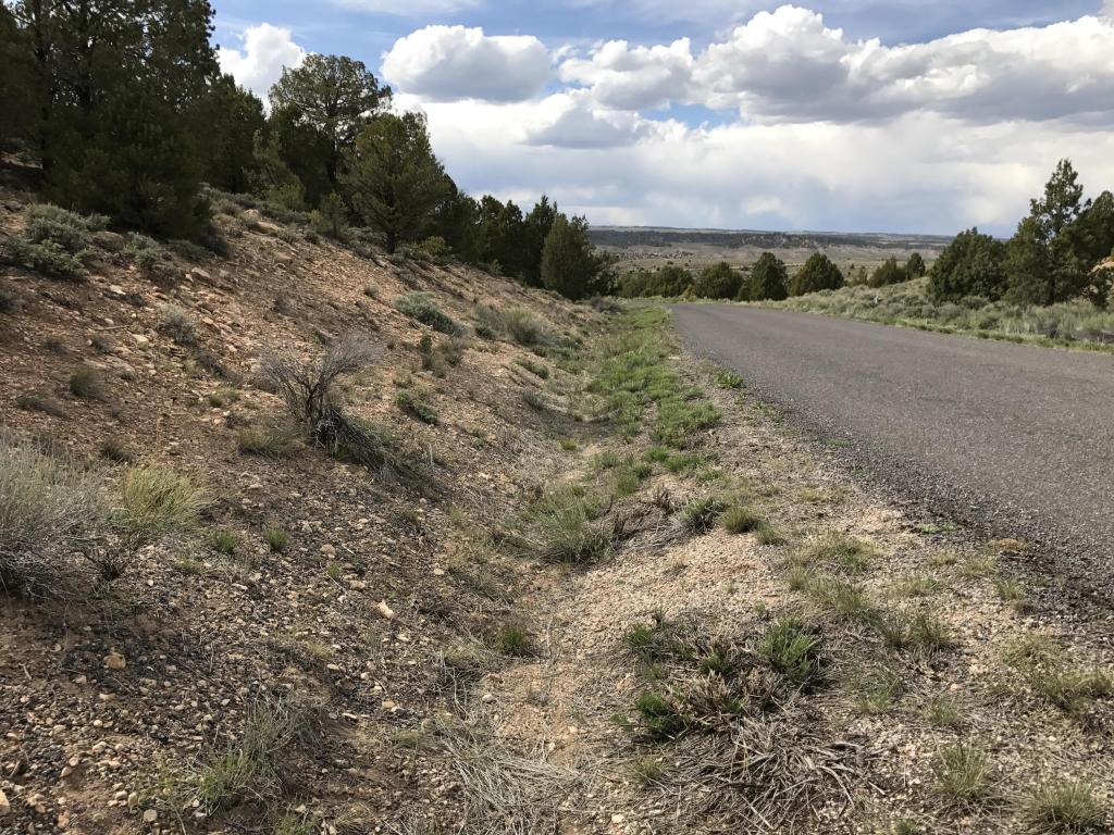 1860 E Paunsaugunt Cliffs DR, Hatch, UT 84735