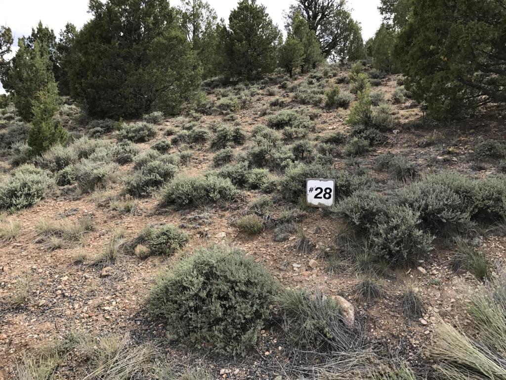 1860 E Paunsaugunt Cliffs DR, Hatch, UT 84735