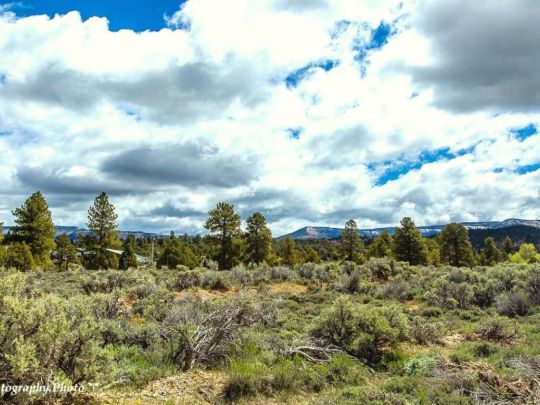 3 J Ranch Pine Lake Rd, Tropic, UT 84736