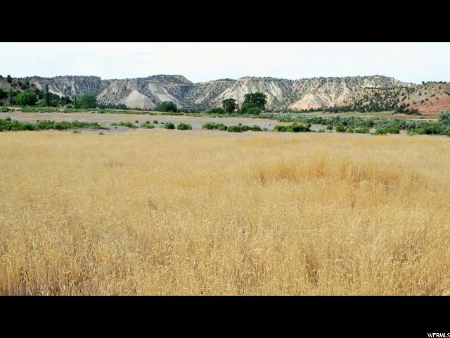 435 S WEST FIELD LOOP RD W, Henrieville, UT 84736