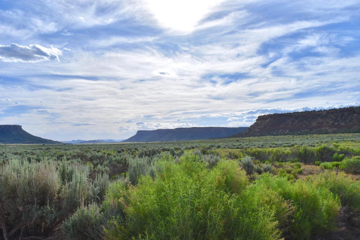 1073 W Little Pinion  Way, Apple Valley, UT 84737