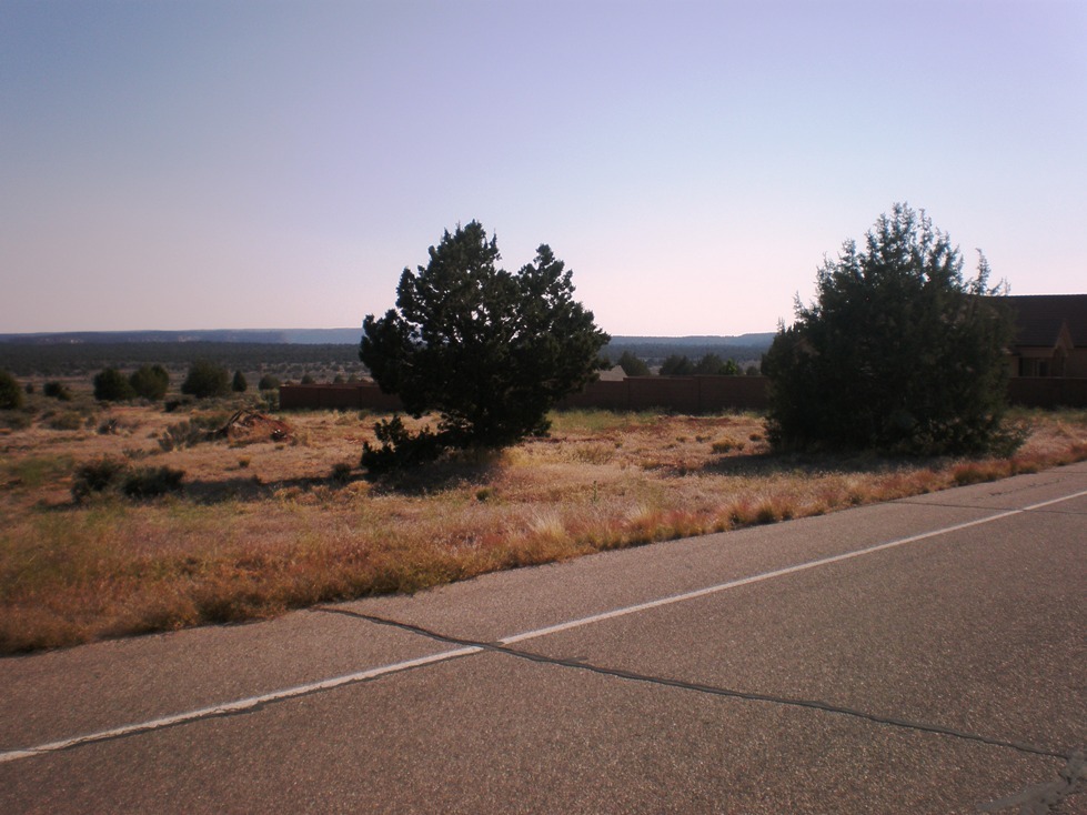 1452 E Red Sage  LN, Hurricane, UT 84737