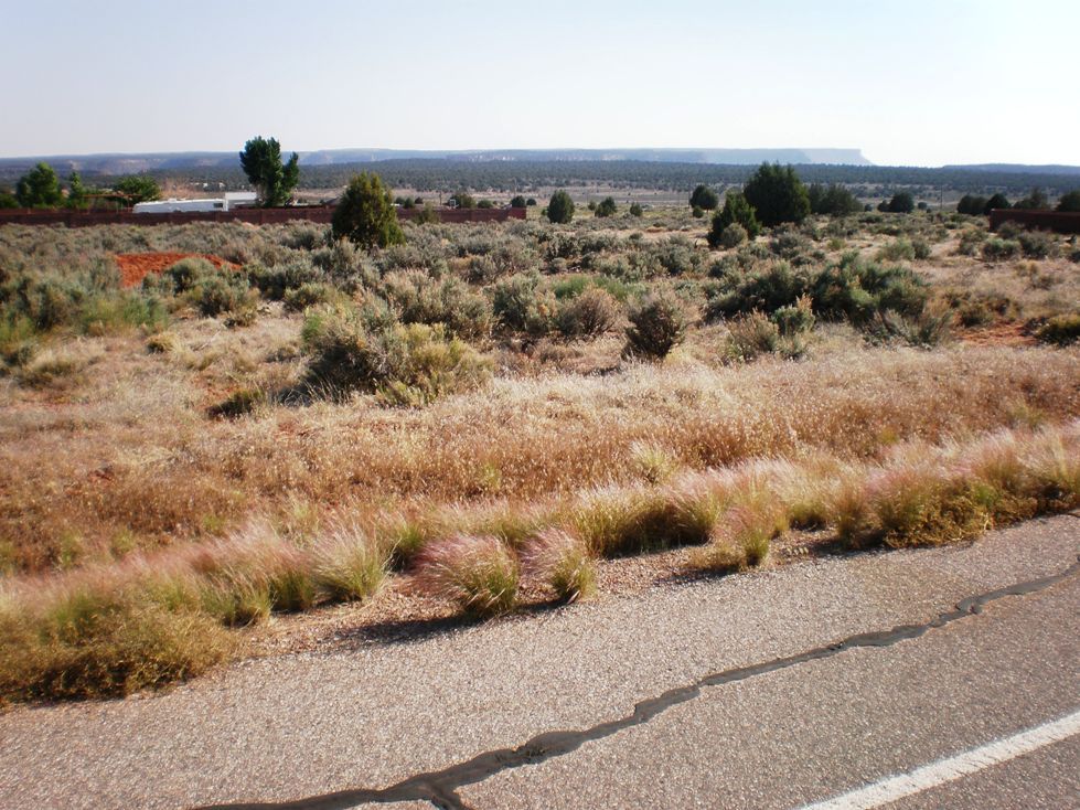 1452 E Red Sage  LN, Hurricane, UT 84737