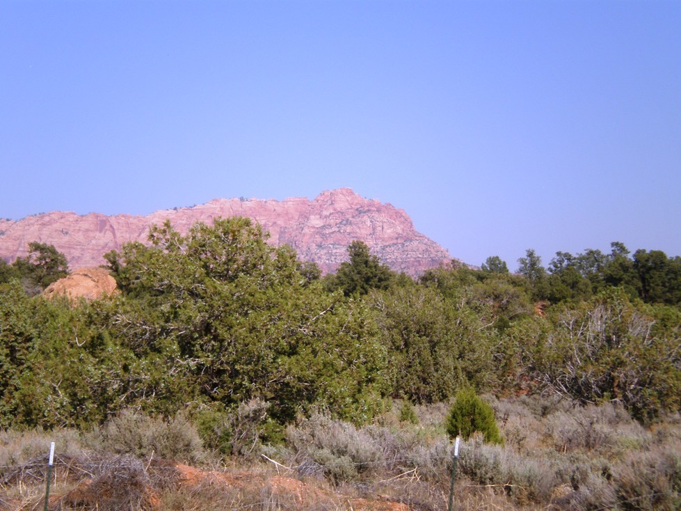 1452 E Red Sage  LN, Hurricane, UT 84737