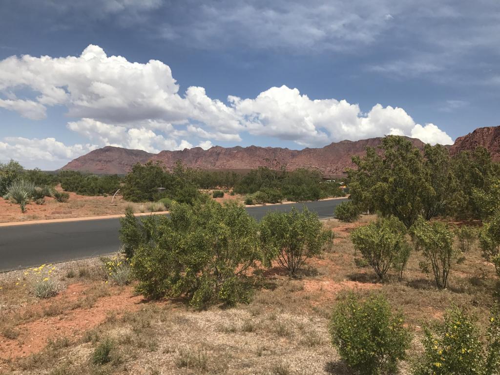 Ivins, UT 84738