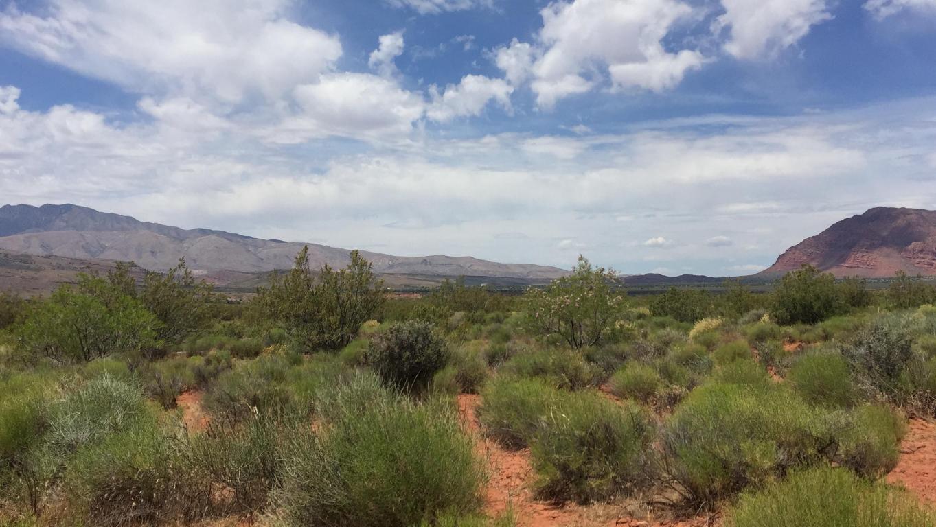 Yucca CT, Ivins, UT 84738