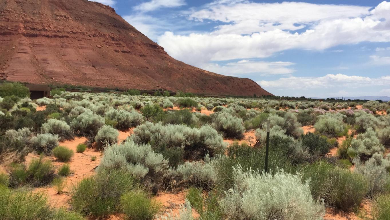 Shinava DR, Ivins, UT 84738