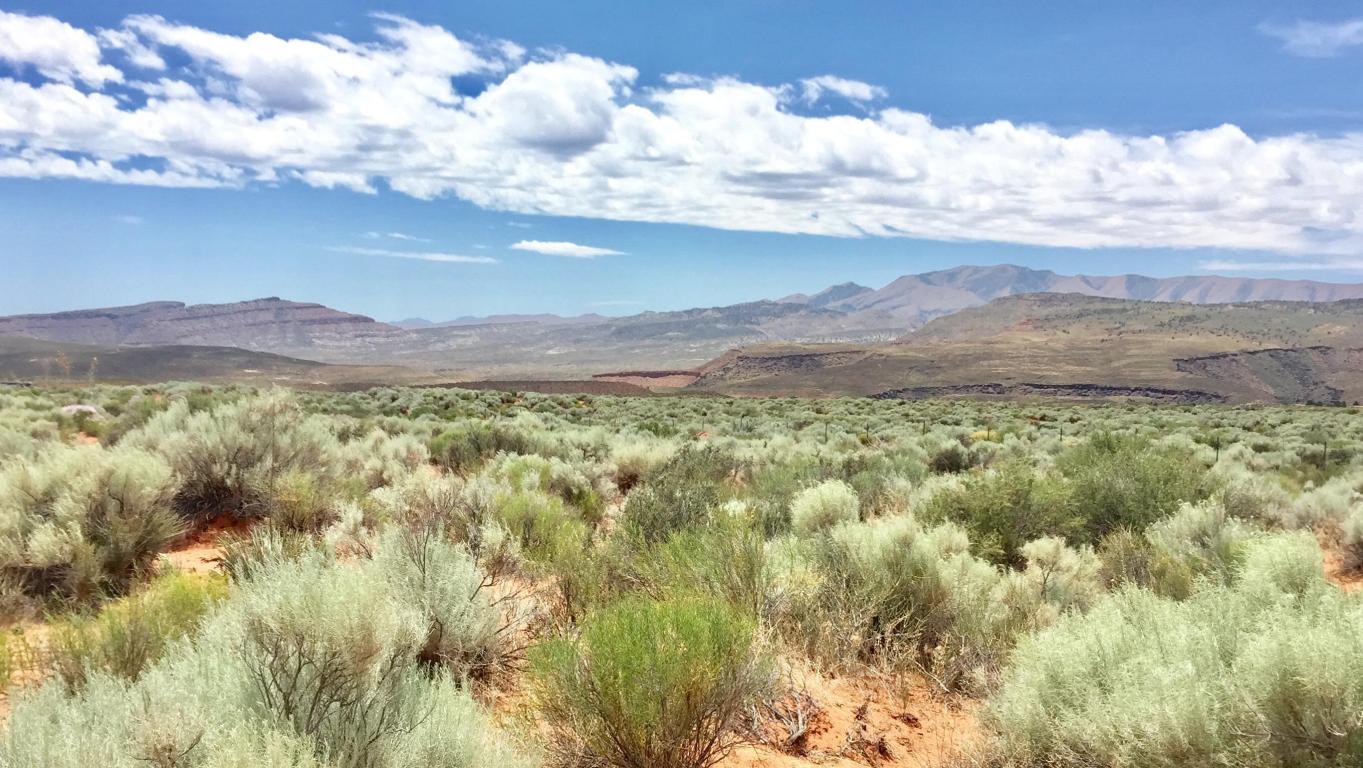 Shinava DR, Ivins, UT 84738