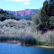 Hidden Canyon Rd, Kanab, UT 84741